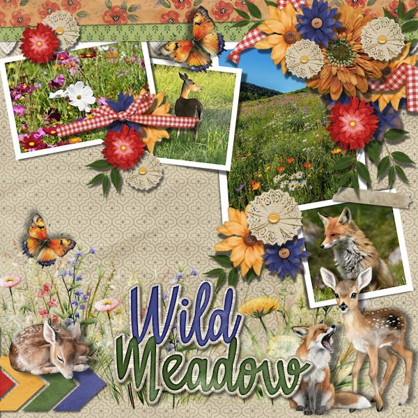 DLPatt_WildMeadow_web.jpg