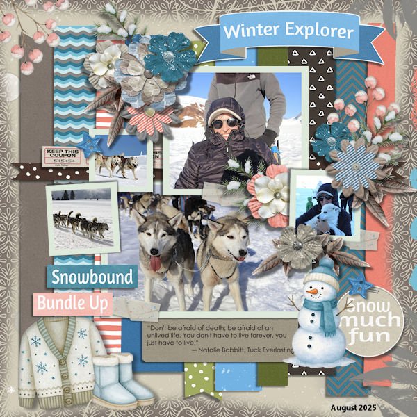 DLPatt_WinterExplorer_web.jpg