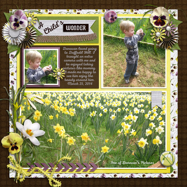 dman at Daffodil Hill 2014