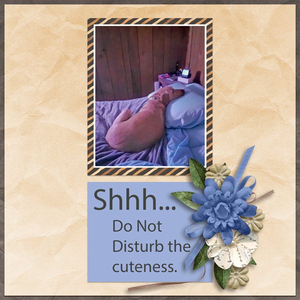 Do Not Disturb.jpg