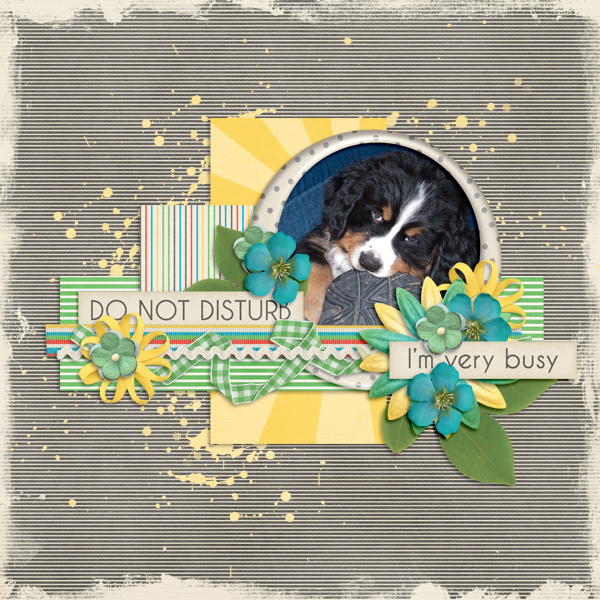 Do not disturb