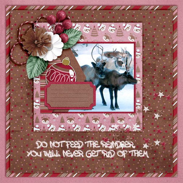 Do-not-feed-the-reindeer.jpg