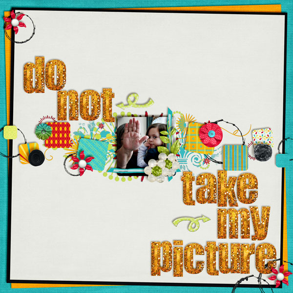 Do Not Take My Picture