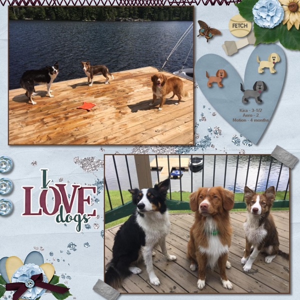 Dock Dogs