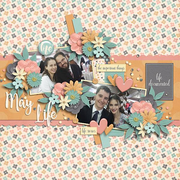 Document life May