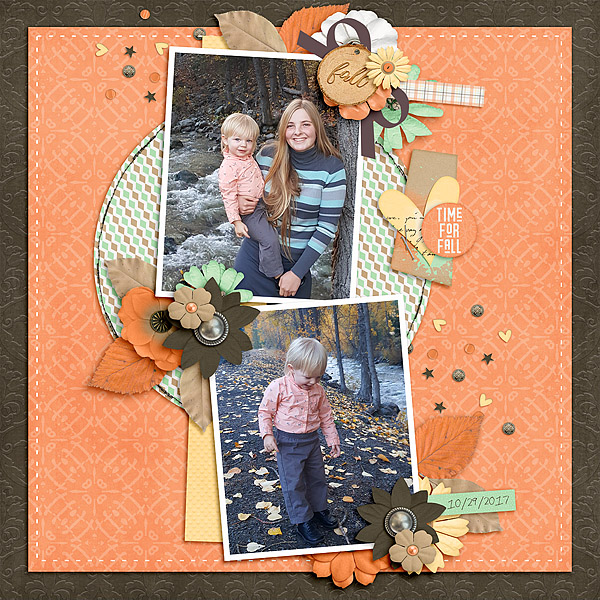 Document life Nov