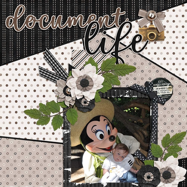 Document Life