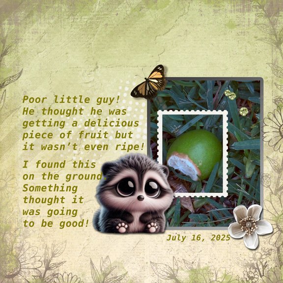 Document Your Life 8x8 72.jpg