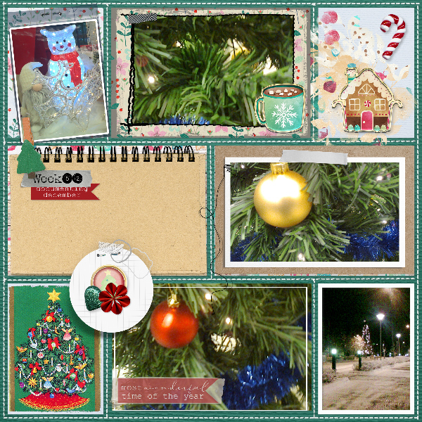 documenting_December