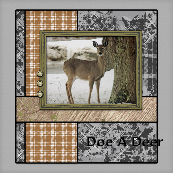 Doe A Deer