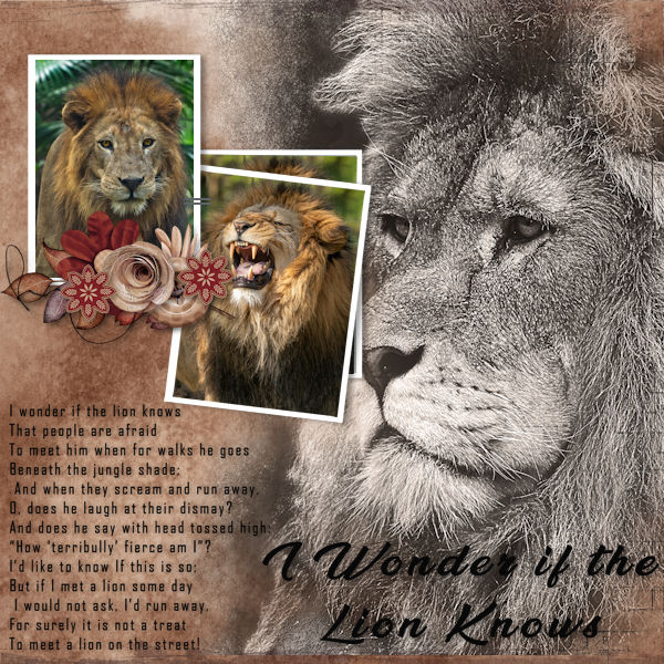 Does the Lion Know