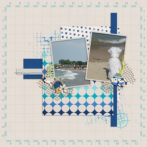 Dog Beach