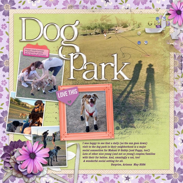 Dog (+ Cat?) Park
