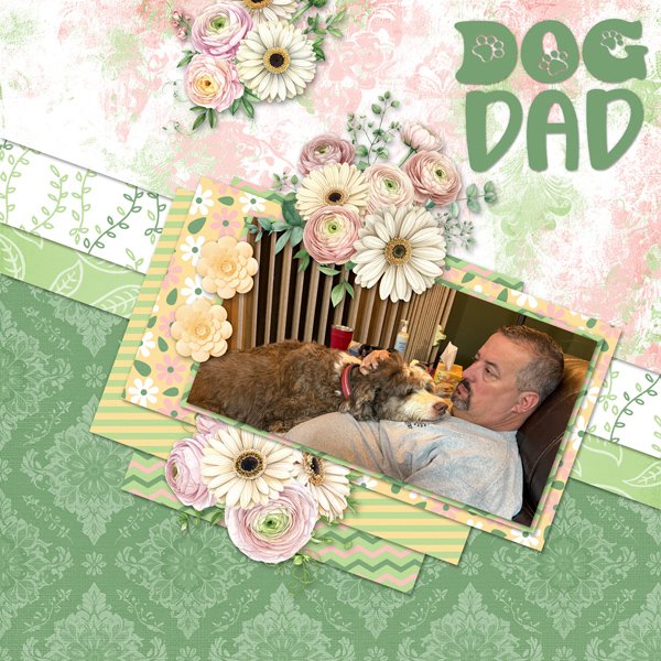 Dog Dad