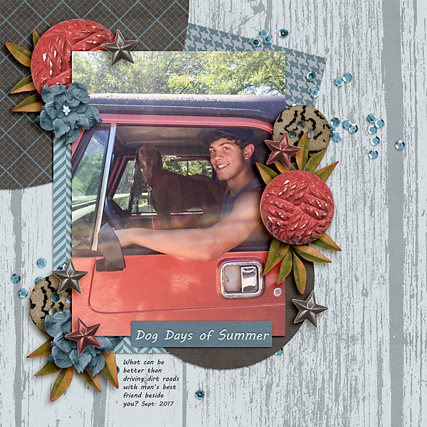 Dog Days of Summer
