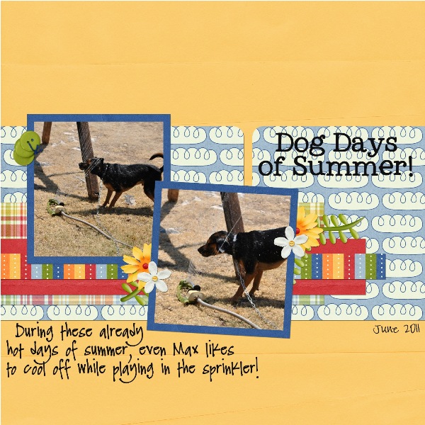 Dog Days of Summer