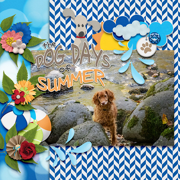 Dog Days of Summer