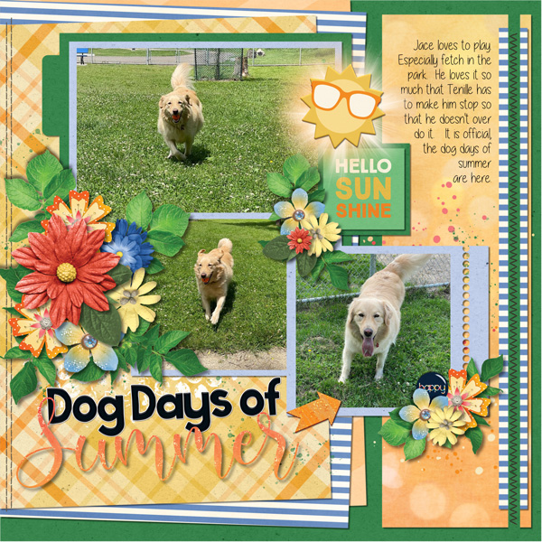 Dog Days of Summer