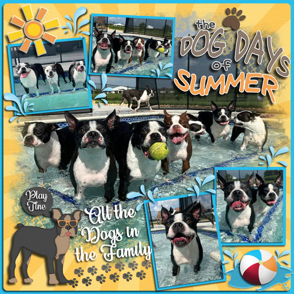 Dog Days of Summer