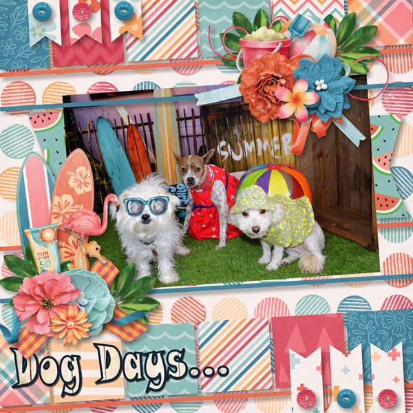 Dog Days