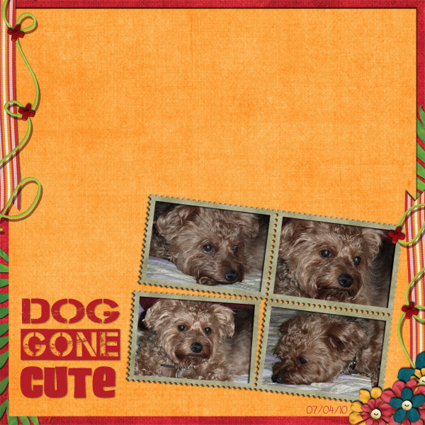 Dog Gone Cute