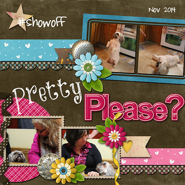 dog gone cute