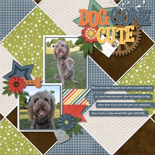 Dog Gone Cute!