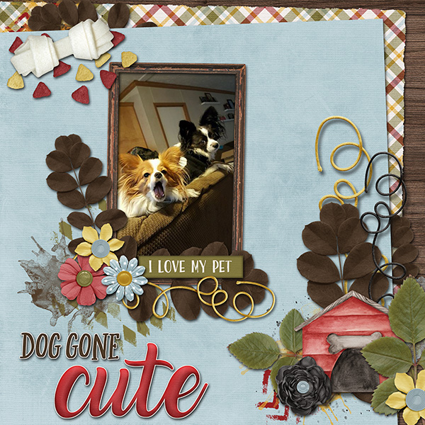 Dog Gone Cute