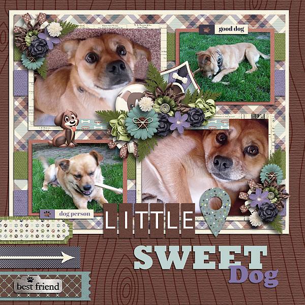 Dog - gone cute