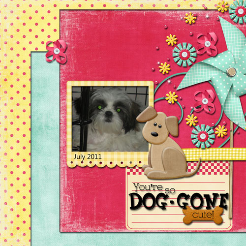 Dog Gone Cute