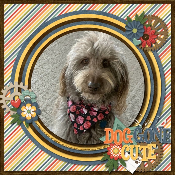 Dog Gone Cute