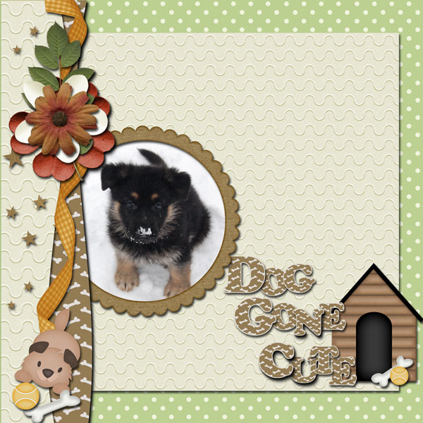 Dog-Gone-Cute
