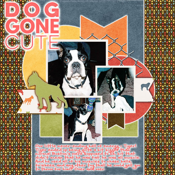 Dog Gone Cute