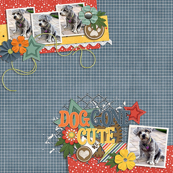 dog gone cute