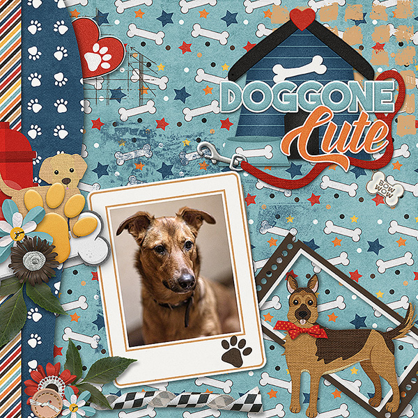Dog Gone Cute