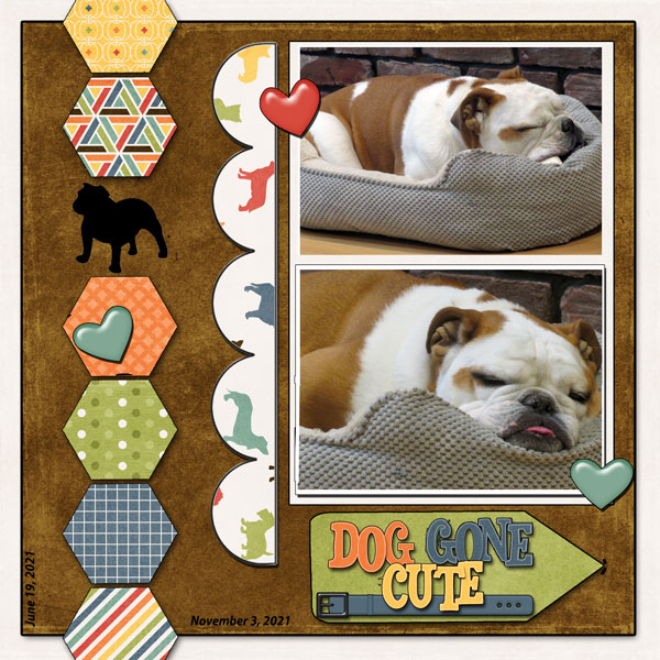 Dog Gone Cute