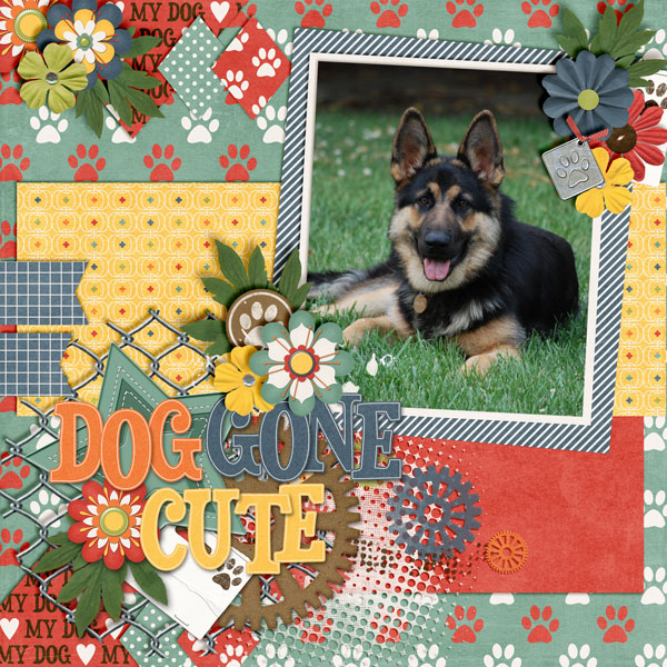 Dog-Gone-Cute1