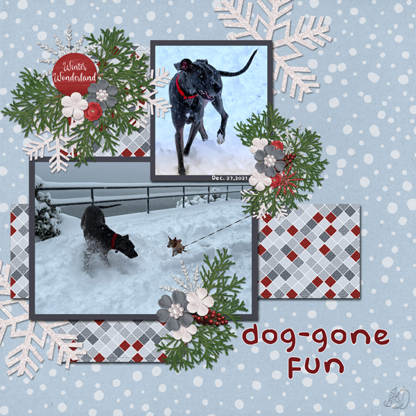 dog-gone fun