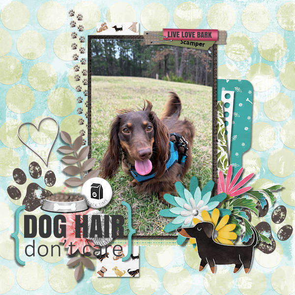 Dog Hair Don't Care