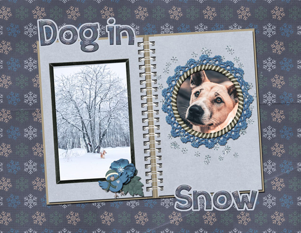 Dog in Snow