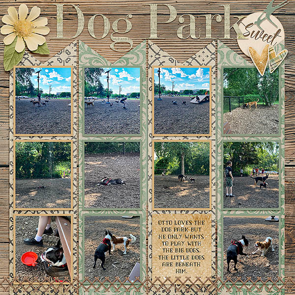 Dog Park 2019