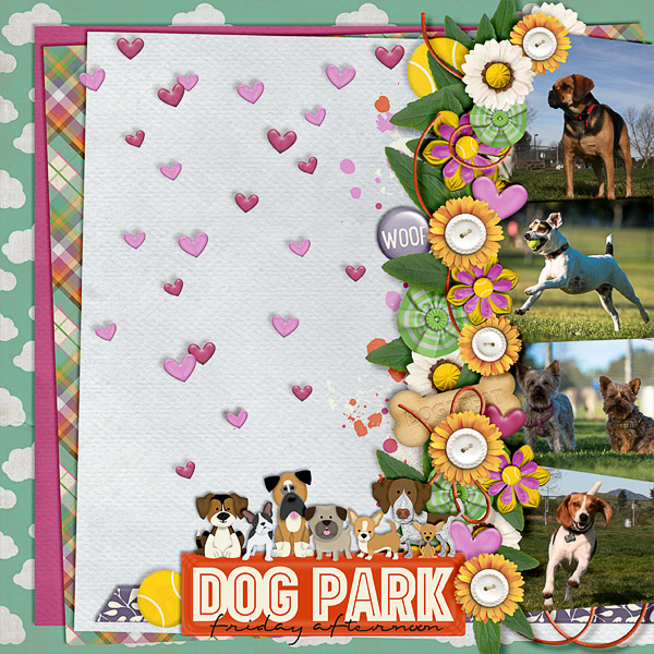 dog park Friday