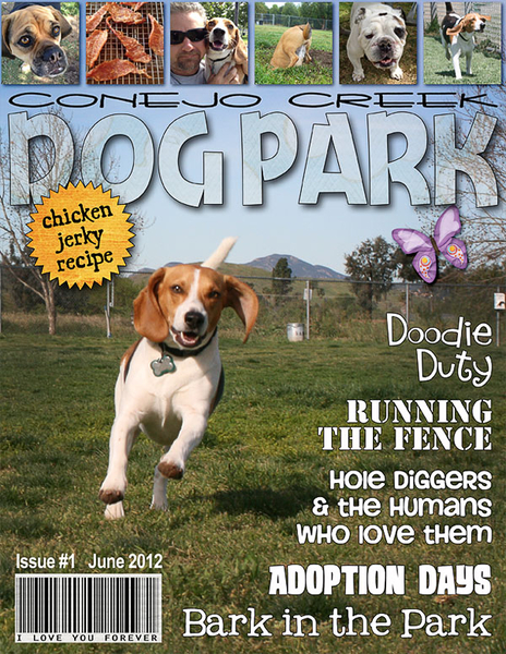 Dog Park