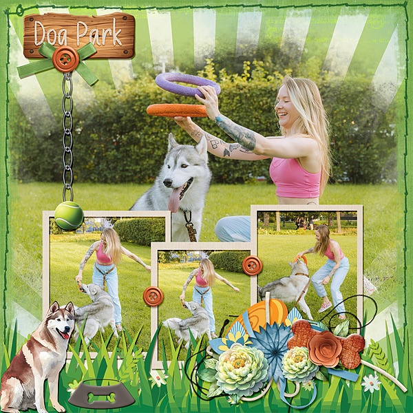 Dog Park