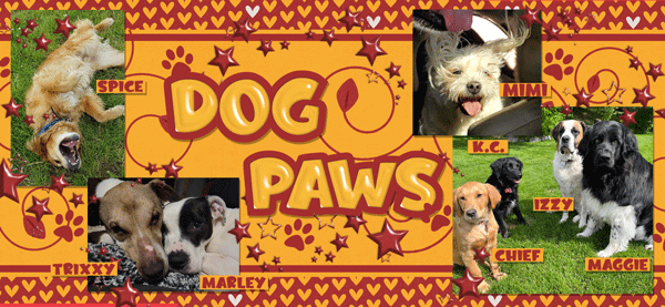 Dog Paws banner