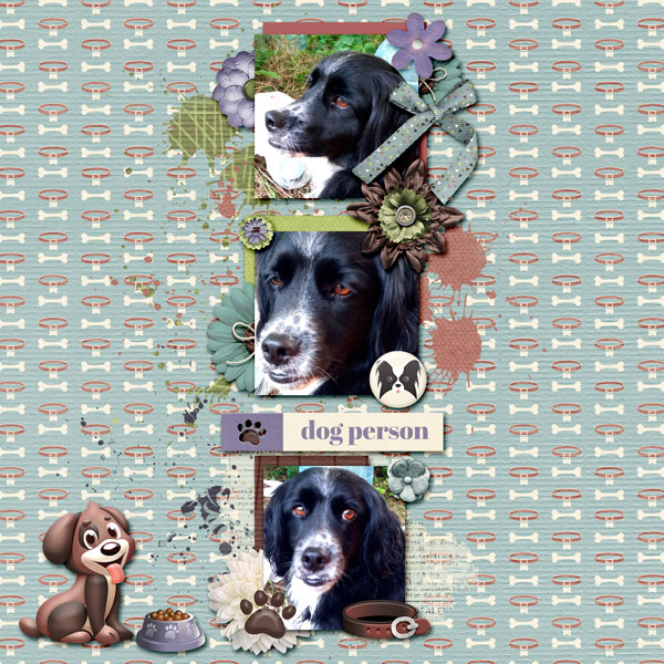 Dog Person