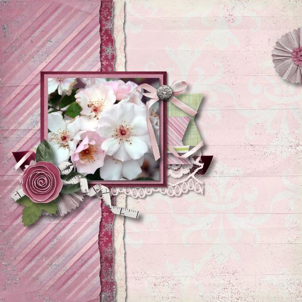 Dog Roses