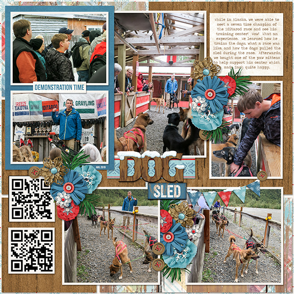 Dog Sledding Alaska Style