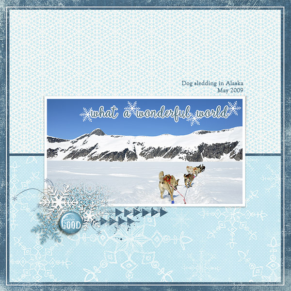 dog sledding