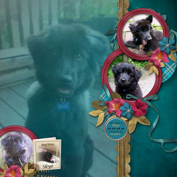 dog-tales-SSS-MC_Template600